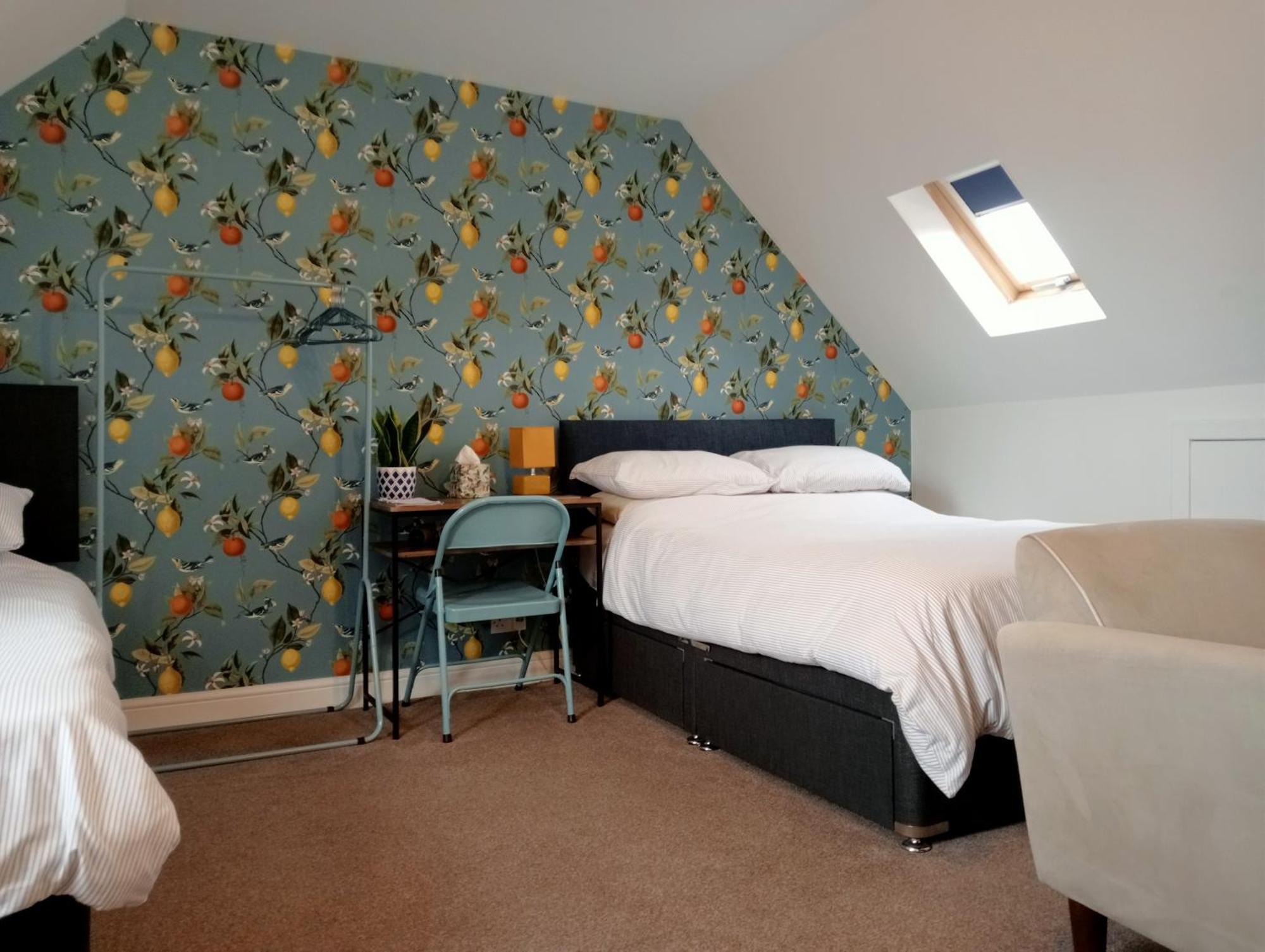 Hill View Studio Hawick Exteriér fotografie